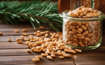 Are All Pine Nuts Edible? Uncovering the Truth