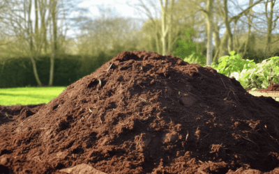 How Do You Know When Compost Is Ready: Top Indicators to Check