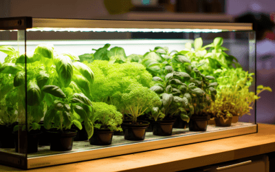 Best Light for Growing Herbs Indoors: Expert Recommendations and Tips