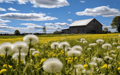 Weeds That Are Edible: A Comprehensive Guide to Foraging and Nutrition