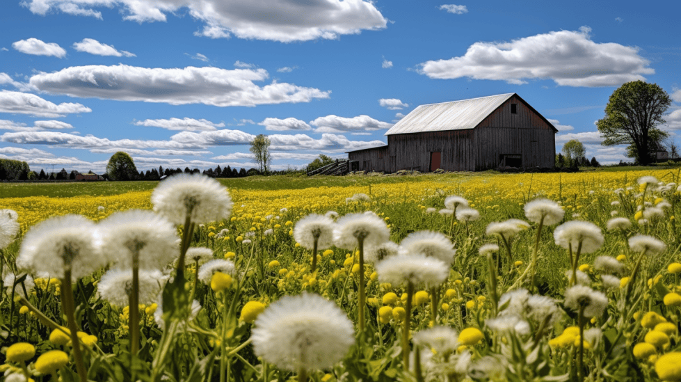 Weeds That Are Edible: A Comprehensive Guide to Foraging and Nutrition