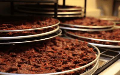 Dehydrating Chili: A Comprehensive Guide for Preserving Flavor and Spice