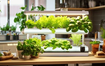 How to Grow Microgreens Without Soil: A Comprehensive Guide for Soil-Free Success