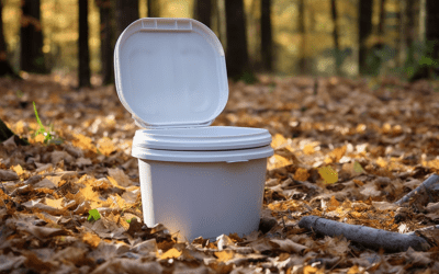 How to Poop in the Woods Without Toilet Paper: A Comprehensive Guide