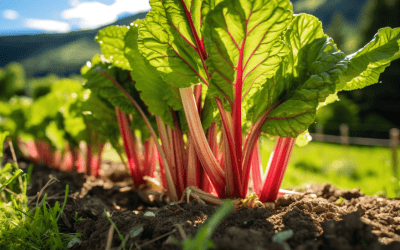 Wild Plants That Are Edible: A Comprehensive Guide for Foragers